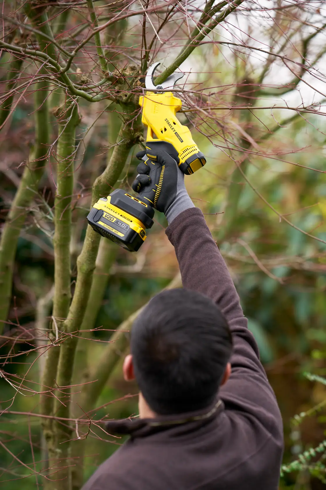 Photo of STANLEY SFMCPP32B cordless pruner used to cut tree branches outdoors.