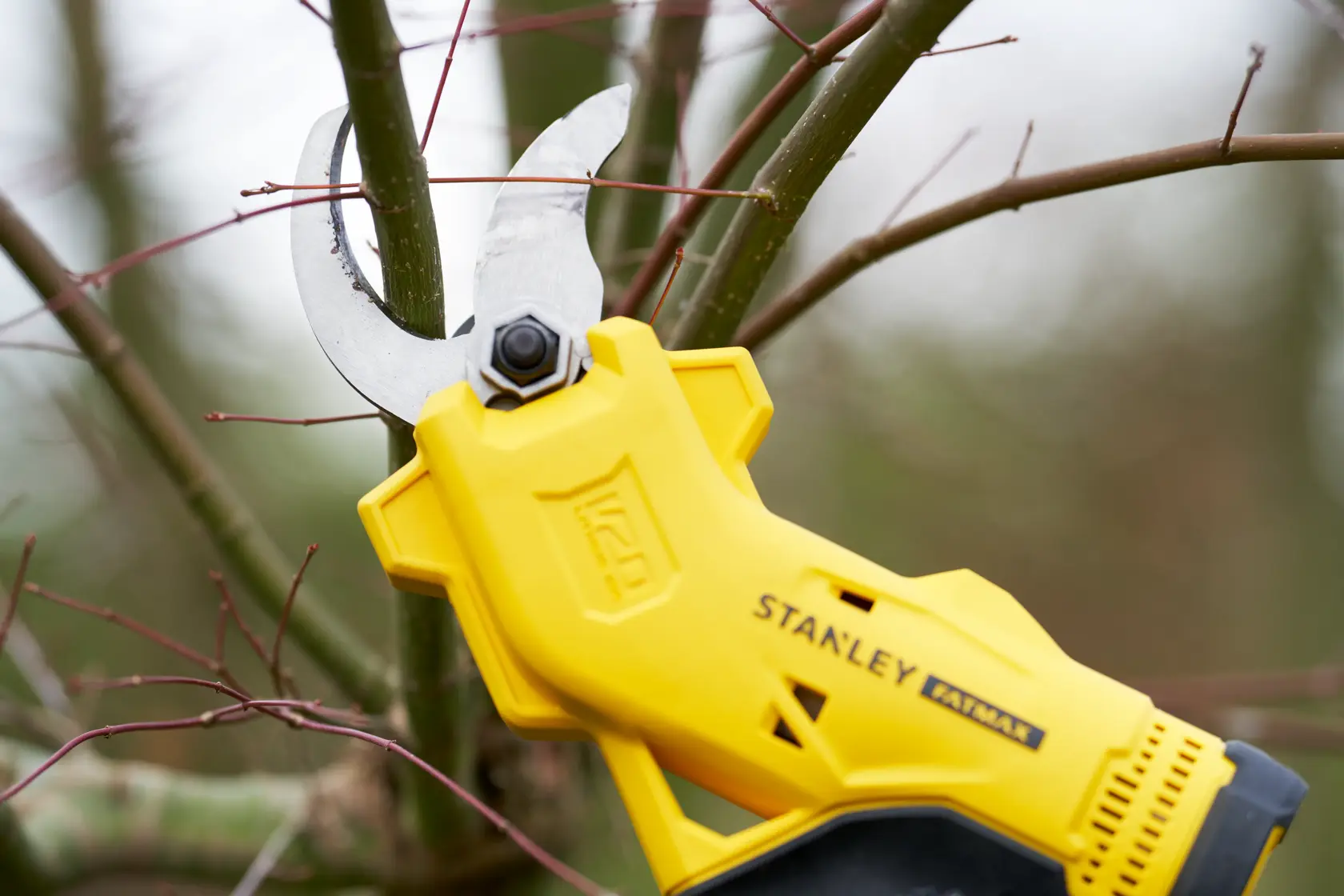 STANLEY SFMCPP32M1 cordless pruner trimming tree branch, close-up outdoor photography.
